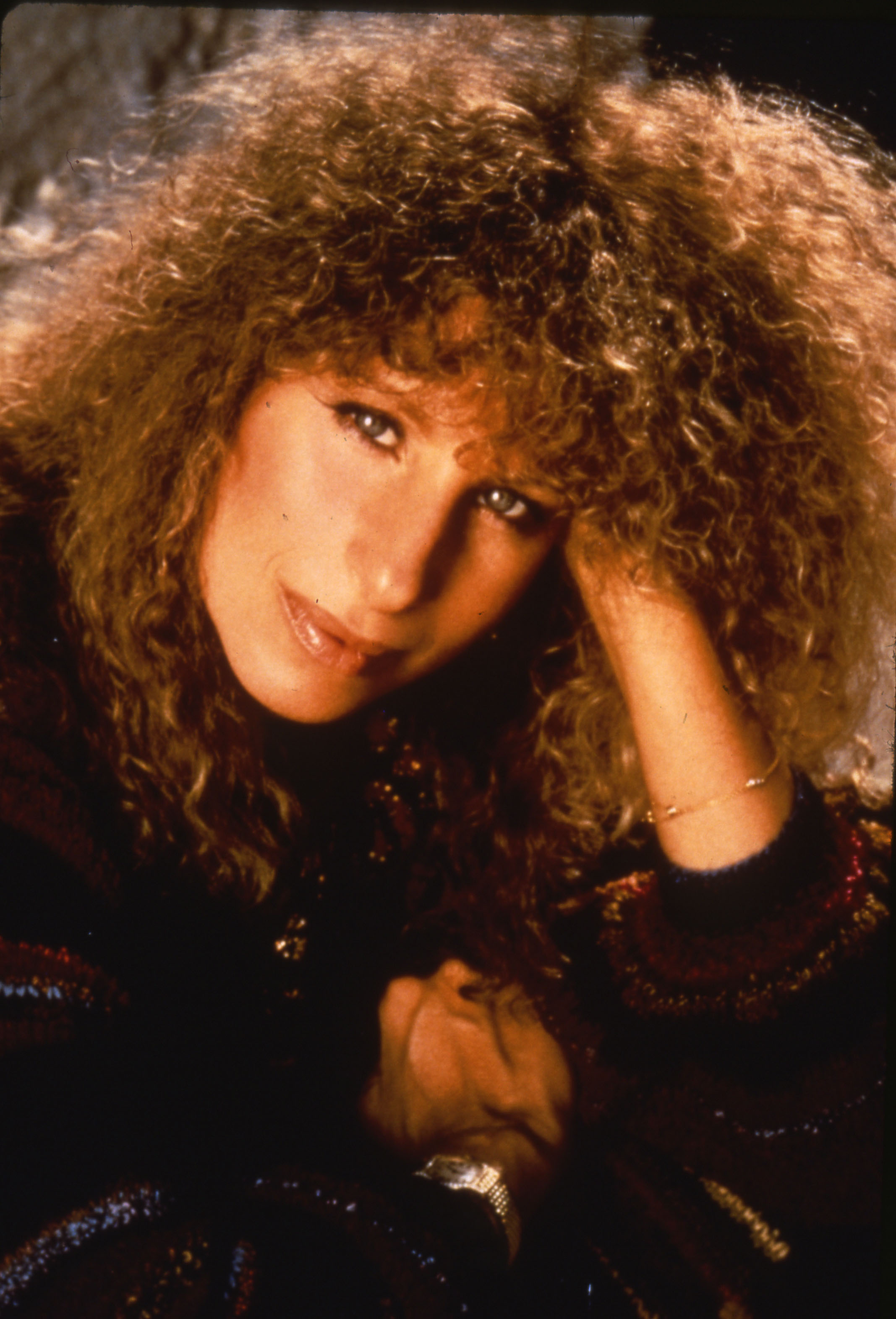 Barbra Streisand Rock and Roll Hall of FameStreisand Foundation